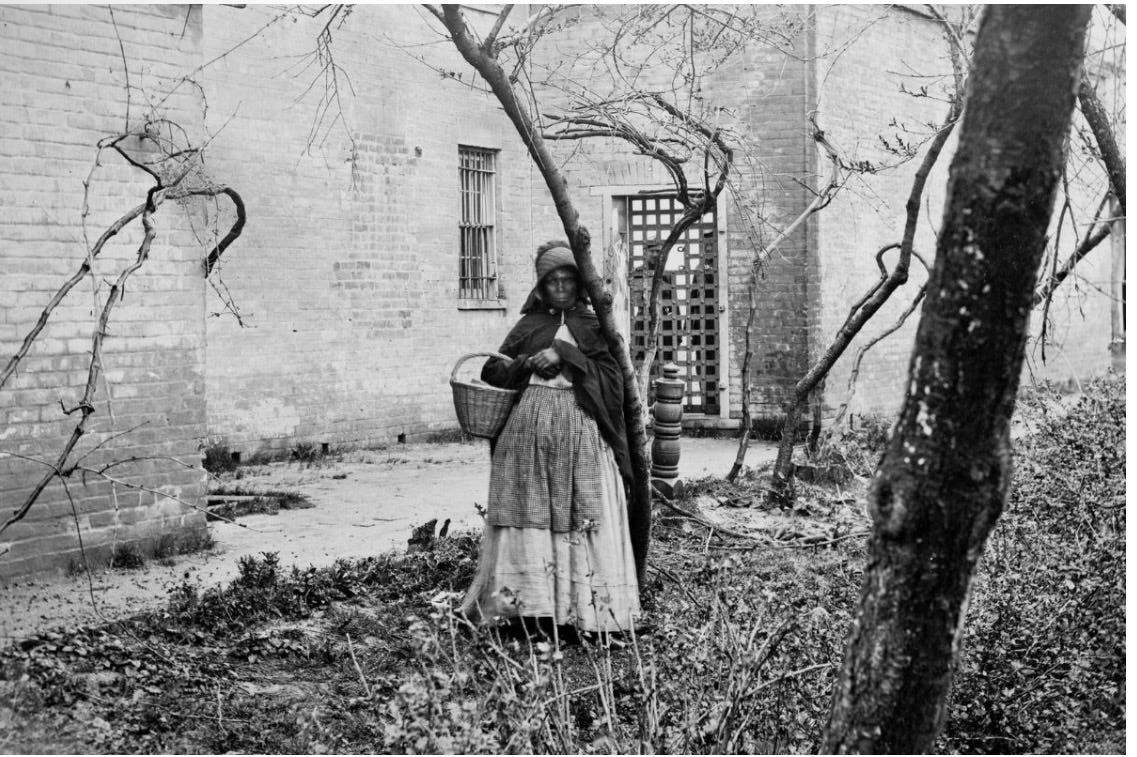Enclave Woman Roots of Resistance: How Enslaved Women Used Herbal Medicine to Reclaim ...