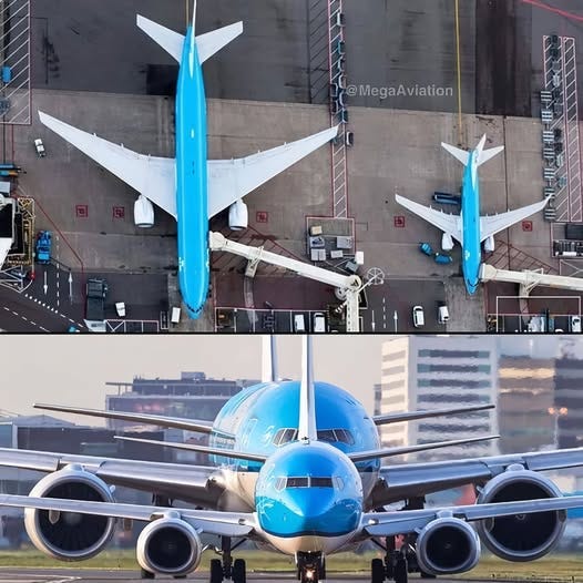 May be an image of aircraft May be an image of aircraft