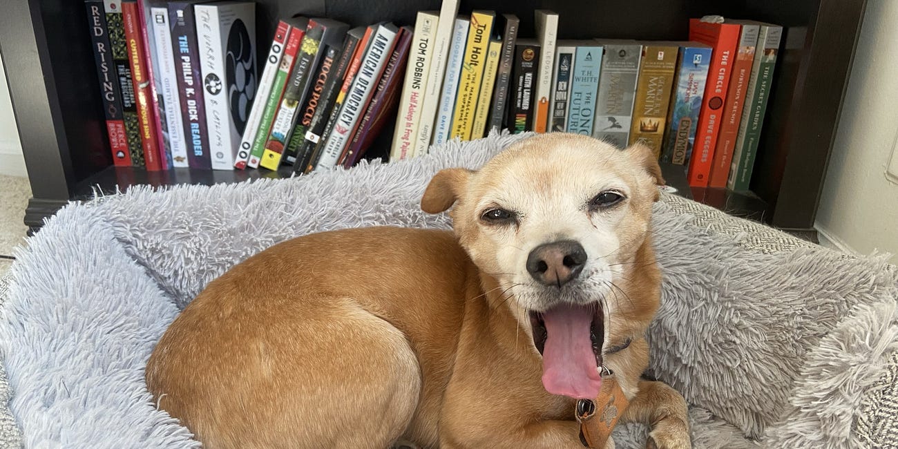 Contrarian Pet of the Week