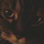 KA's avatar