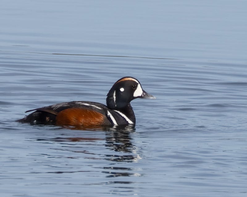 20250610-SJI-413-Edit.jpg 20250610-SJI-413-Edit.jpg