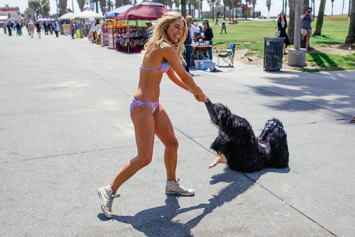 Barbara Palvin and Ashley Hart on set, laughing and posing with a gorilla suit—pulling it on, peeling it off, and mixing fashion with absurdity during the Mambo Goddess campaign shoot.