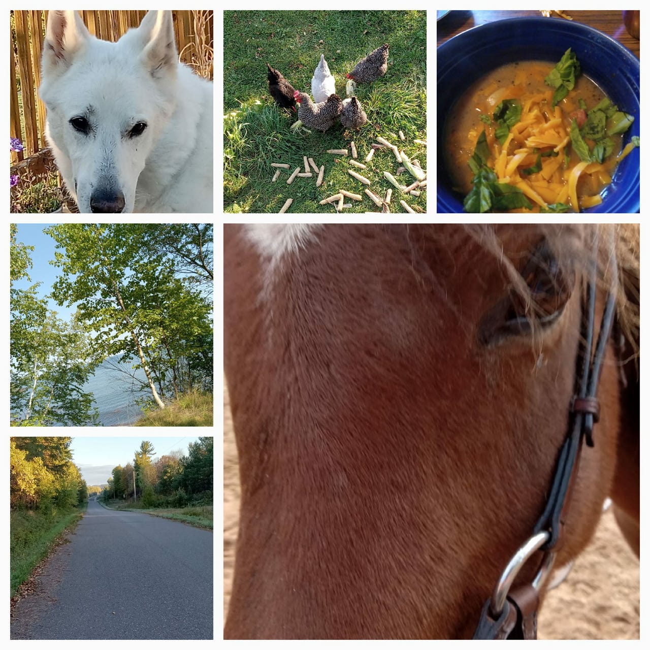 Ride to Fly - Keila (KJ) Aartila