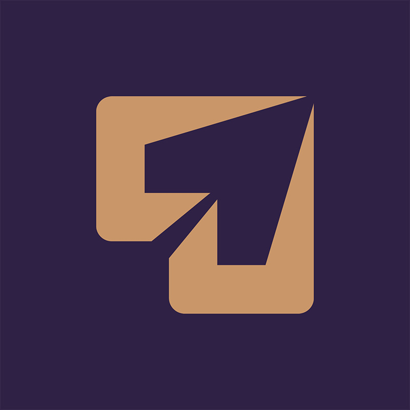 Vision to Reality logo