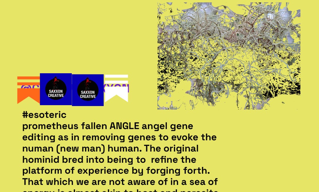 Mapping the human experience fractal -1a