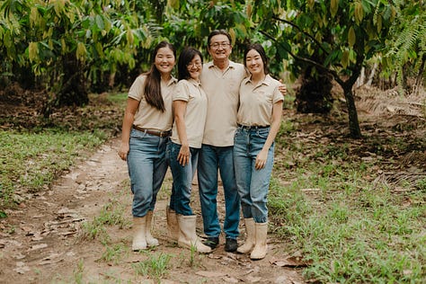 Two people kneel and crouch on a forest farm floor, inspecting soil and leaf litter among scattered palm fronds.  Field workers examine the ground in an agroforestry plot, with dry fronds used as mulch and young plants emerging nearby.  A man and a woman check soil conditions in a shaded plantation, surrounded by organic ground cover and regeneration.  Close view of a cacao-style agroforestry floor; two workers assessing mulch, debris, and new growth in a tropical setting.  Two farm workers in beige shirts and jeans inspect the ground in a syntropic farming system with thick organic cover.