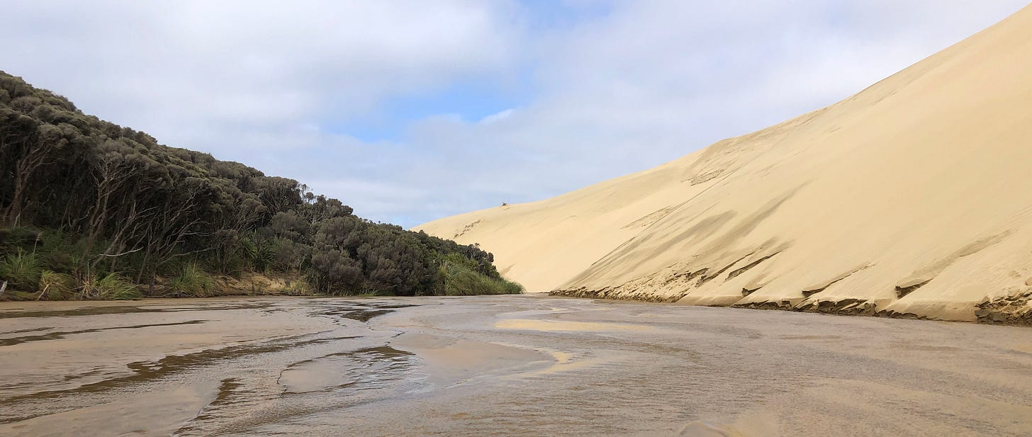 From the left, a triangle of trees points to the middle of the picture, meeting a sand dune that rises higher on the right. Between them, a stream reflects the cloudy blue sky, forest and dunes.