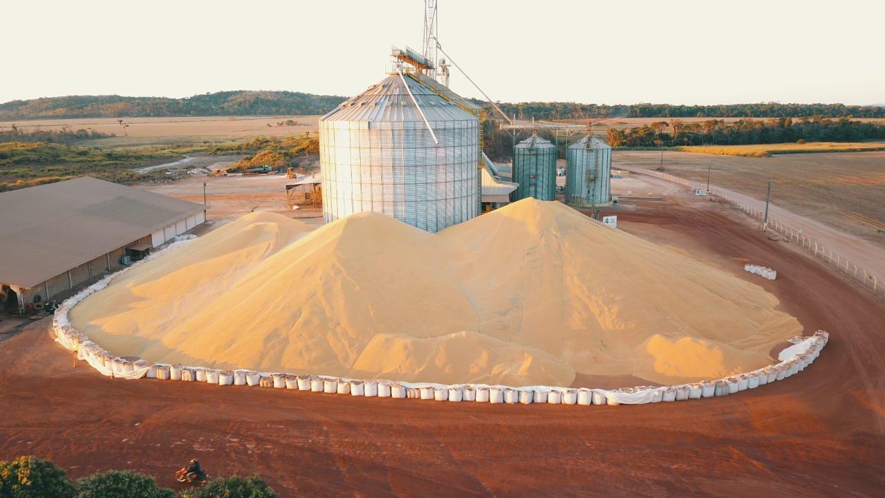 fazenda tem 230 mil sacas de milho a céu aberto em MT fazenda tem 230 mil sacas de milho a céu aberto em MT