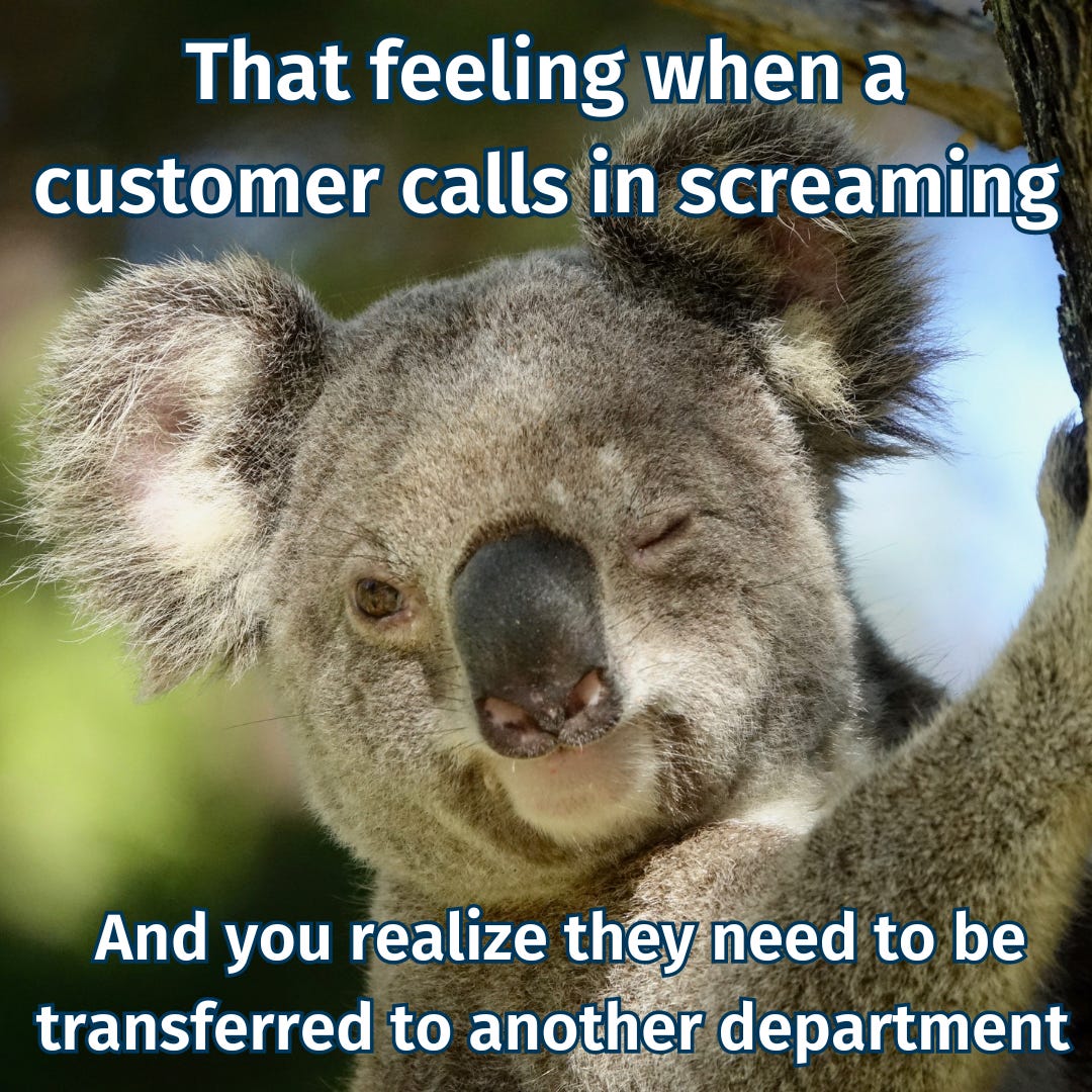 Top 12 Customer Service Memes to Brighten Your Day [2024 Edition]