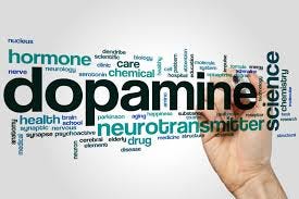 The Power Of Dopamine: What It Is And 5 ... The Power Of Dopamine: What It Is And 5 ...