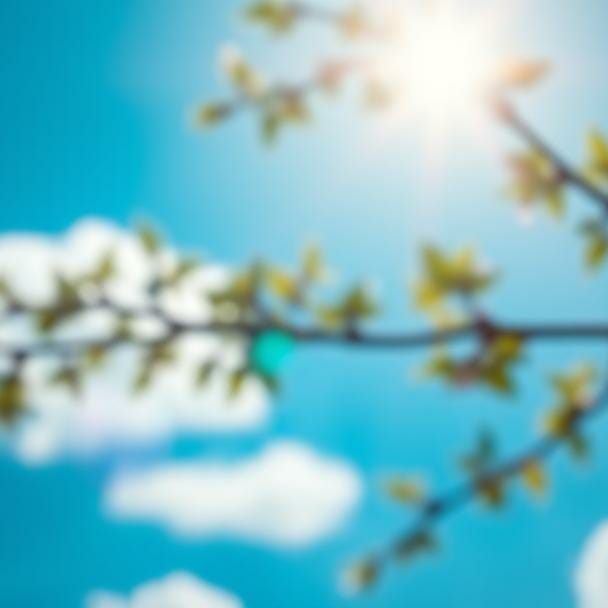 Smellie's Substack: Pretty Menopausal