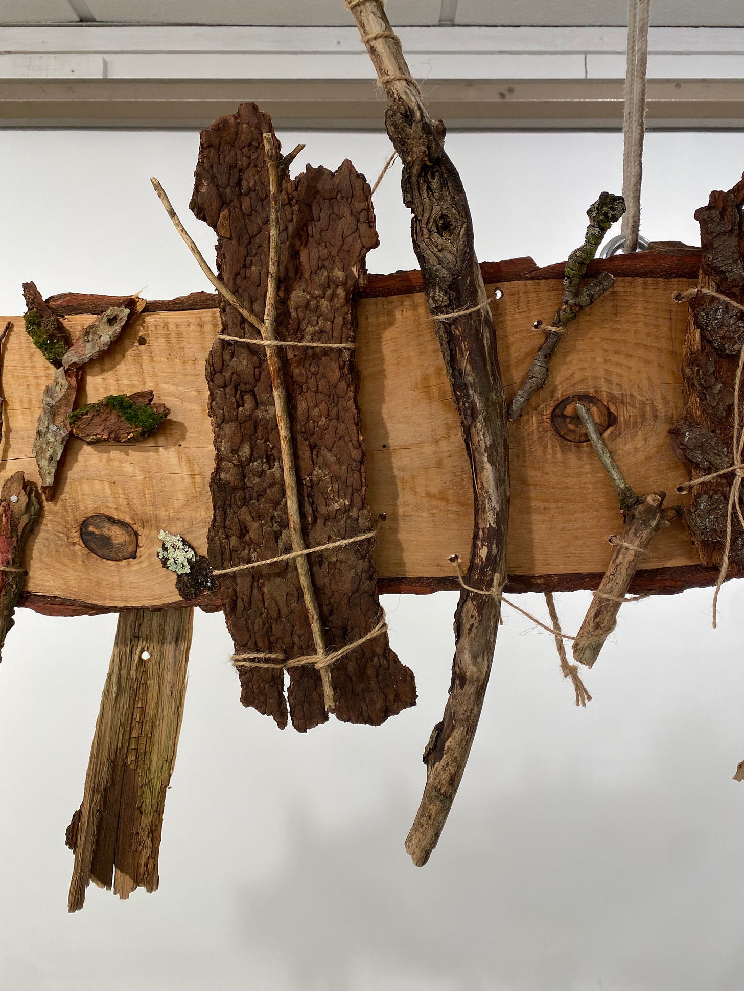 Various pieces of bark, sticks, and twigs, of different shapes, colors, and textures, affixed with twine to a horizontal hemlock board with two knots showing on it.