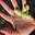 Wild Geese Creative's avatar
