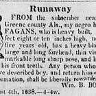 Storie di dati dall'America abolizionista