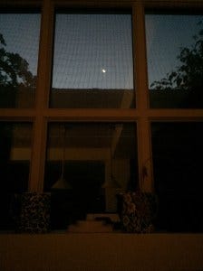 IMG_9787 IMG_9787
