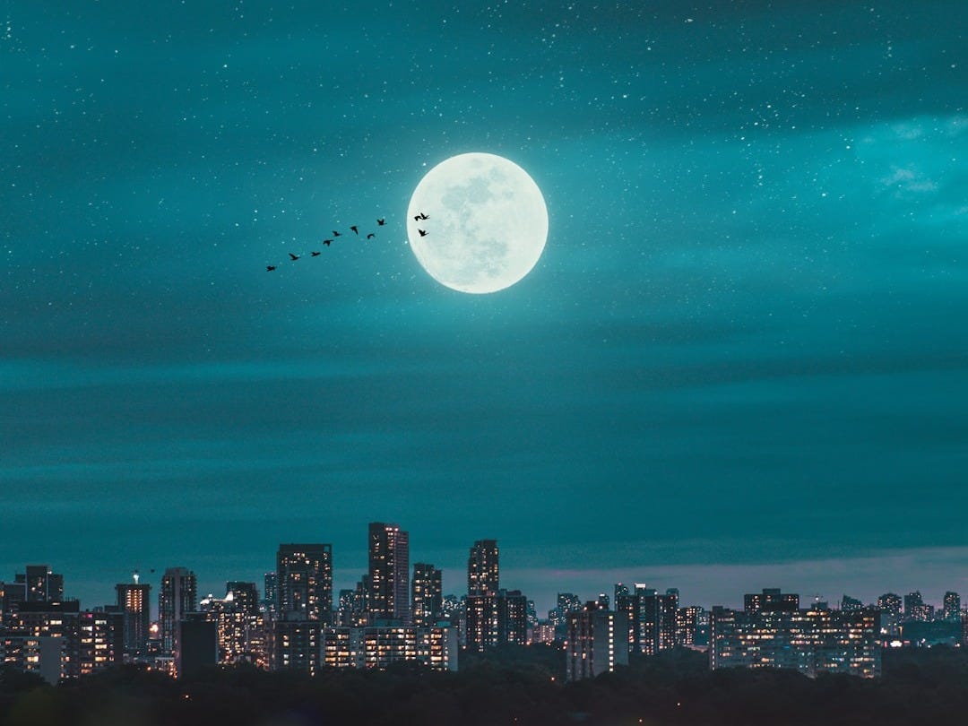 full moon over city skyline during night time
