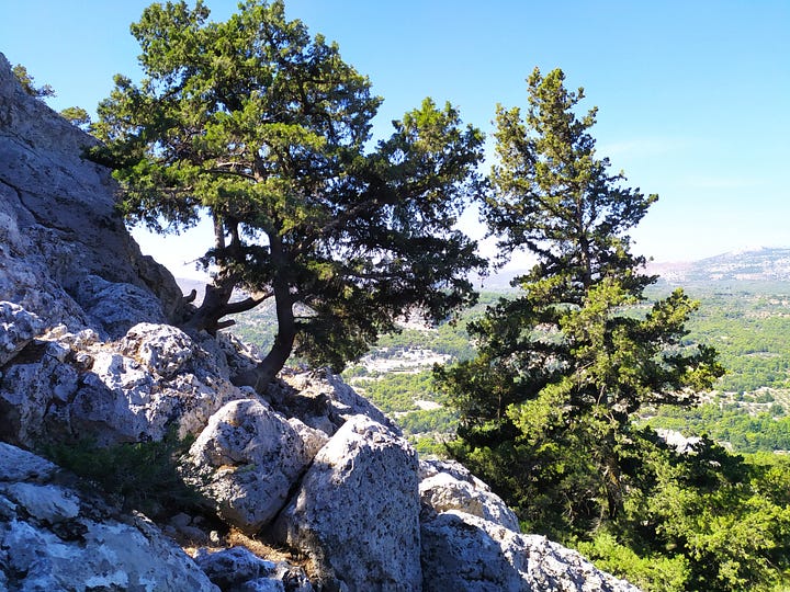 Παναγία Τσαμπίκα Ρόδου