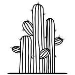 Mexico Decoded