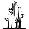 Mexico Decoded