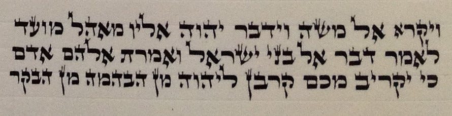 First few lines of the book of Vayikra from a Torah scroll
