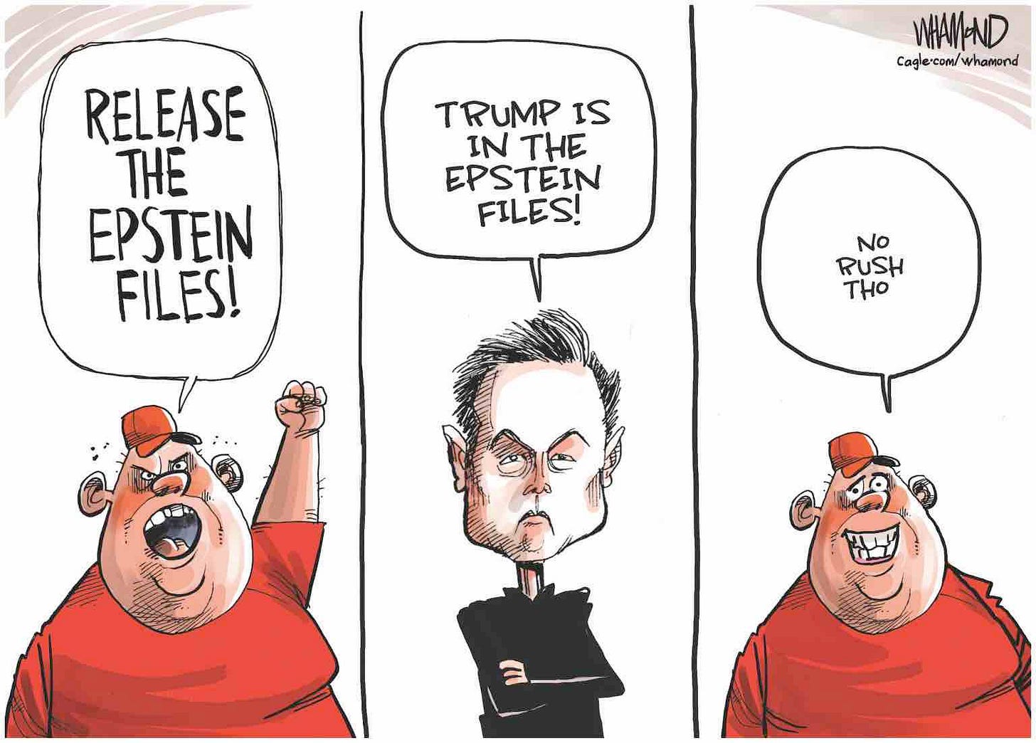 Jeffrey Epstein case cover-up
