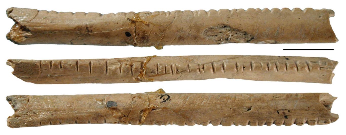 Lebombo Bone