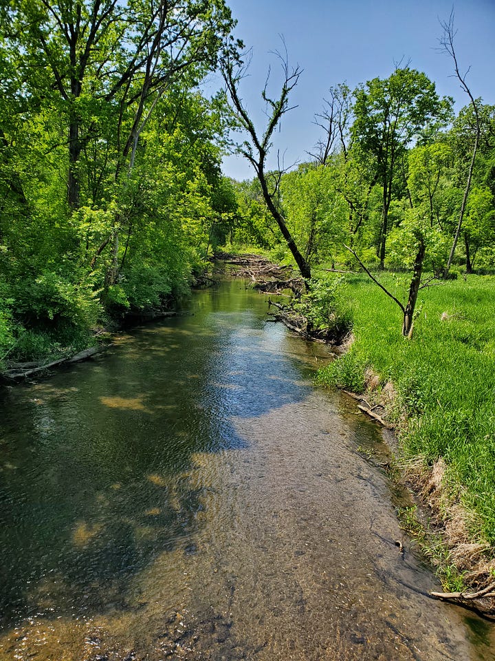 A picture of a stream with obstructions ahead; a second picture of the same stream and the sun is in a different position so the water looks darker or lighter