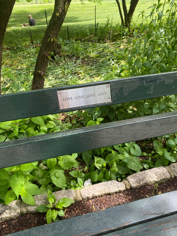 central park. central park bench notes. west village. nyc. brooklyn flea market. carrie bradshaw. sex and the city.