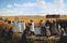 Il Convivio Catholico 
