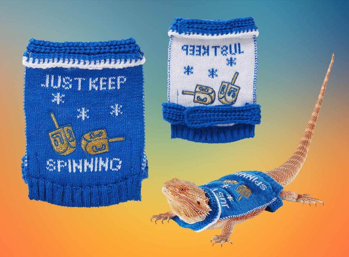 An actual lizard wearing an actual sweater that actually says "Just keep spinning" in white letters next to a gold dreidel