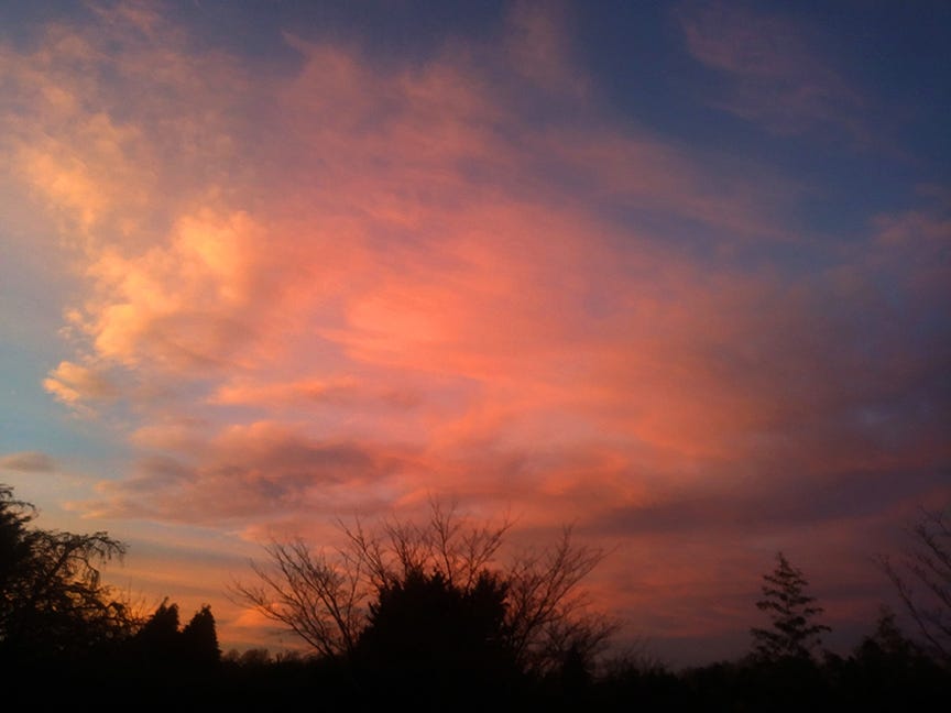 Sunset over garden