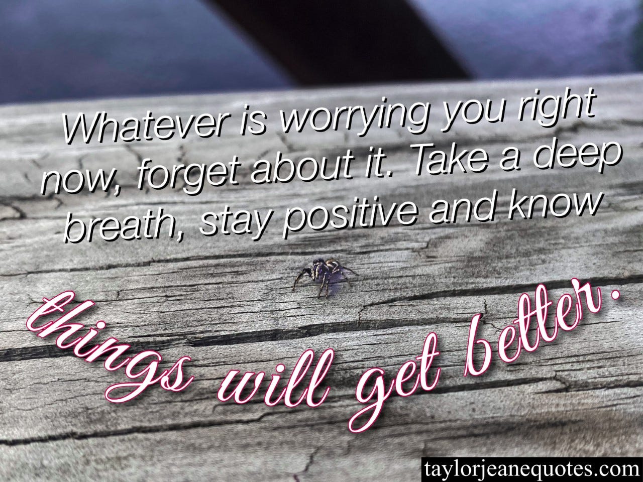taylor jeane quotes, taylor jeane, taylor wilson, mental health quotes, free quote of the day, quotes for anxiety, free quote of the day subscription, daily quote emails, positive quotes, quotes for a bad day, take a break quotes, life quotes, everything will be ok quotes, it will be ok quotes, calming quotes, reassuring quotes, inspirational quotes, peace of mind quotes, massachusetts, motivational quotes