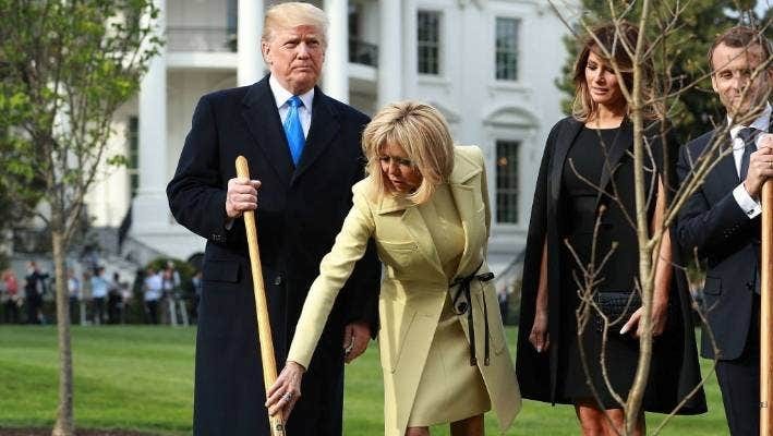 Macron and Trump's friendship tree was missing, now it's dead | Stuff.co.nz