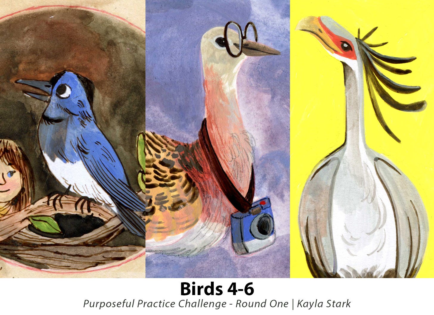 Purposeful Practice Birds 4-6 Header illustration by Kayla Stark