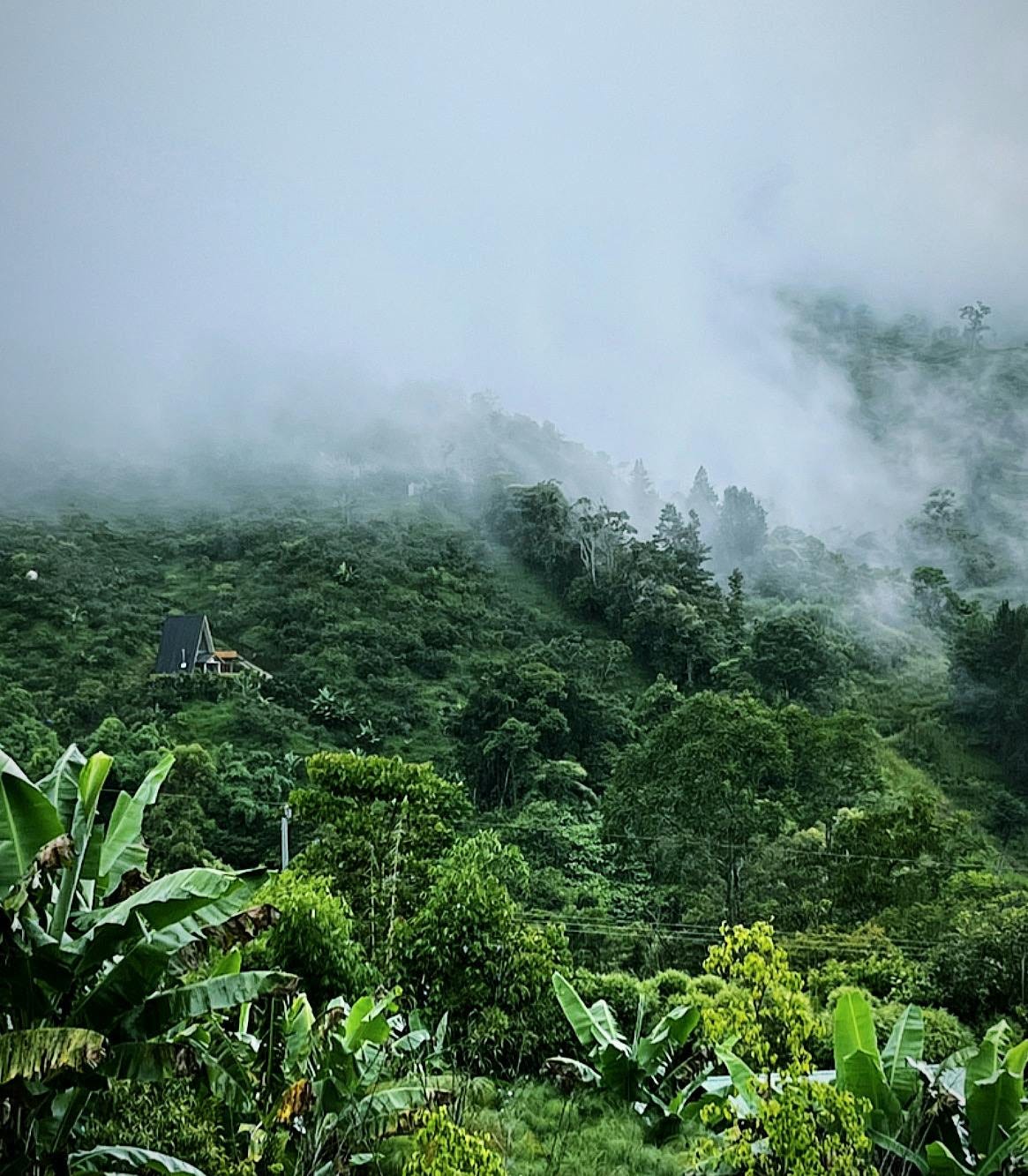 037: Loving What You Have, Having What You Love! 037: Loving What You Have, Having What You Love!