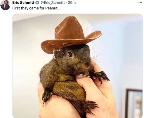 Pet Squirrel Murder in America: Sunday Strip: First They Came for Peanut