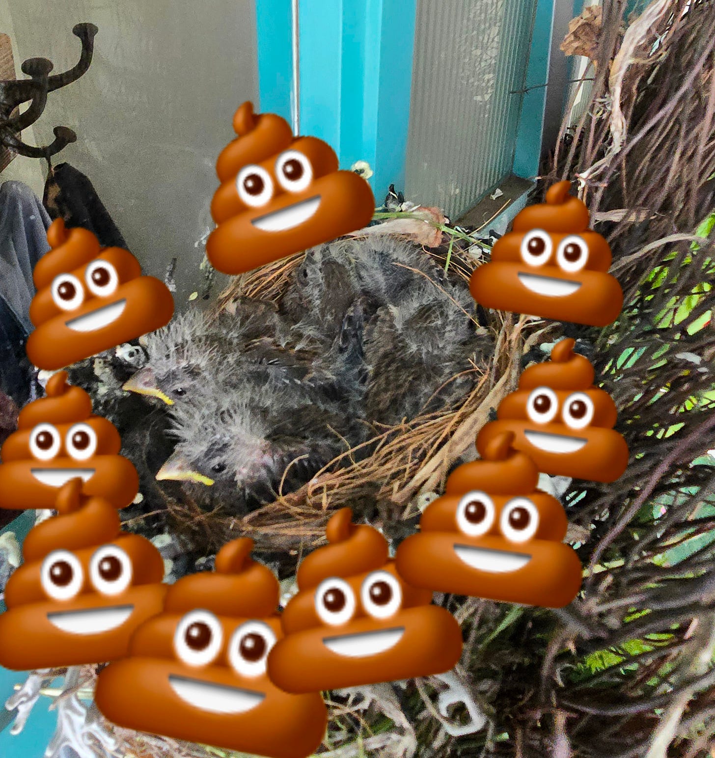 A nest filled with baby birds is surrounded by poop emojis.