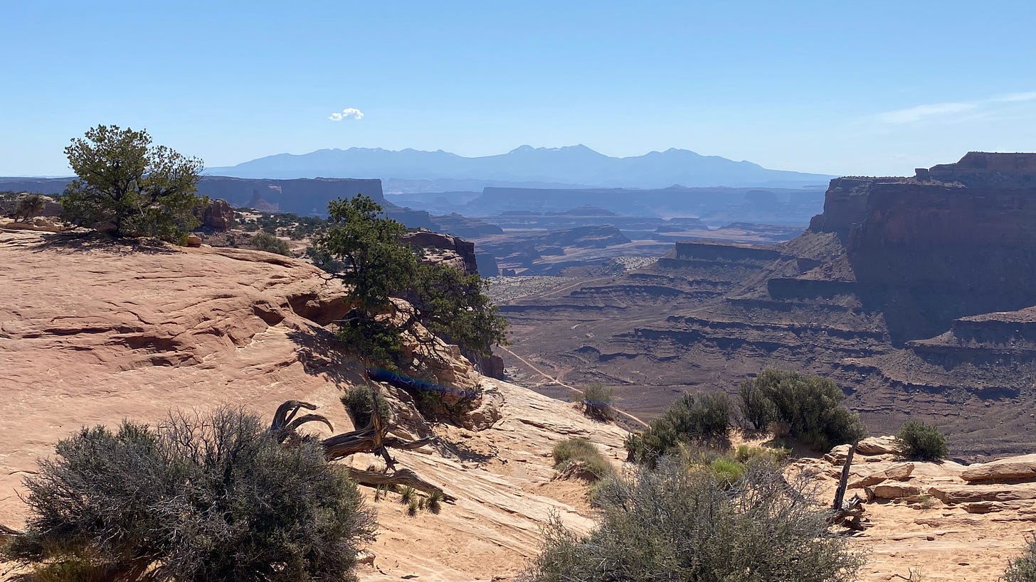 view toward the La Sal Mountains in the background with a plateau about a thousand feet below the camera in the middle distance, with classic red rock mesa and canyon topography and a few scattered junipers in the foreground.
