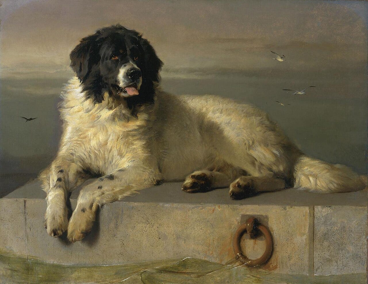 Edwin Landseer, A Distinguished Member of the Humane Society, 1838 Edwin Landseer, A Distinguished Member of the Humane Society, 1838