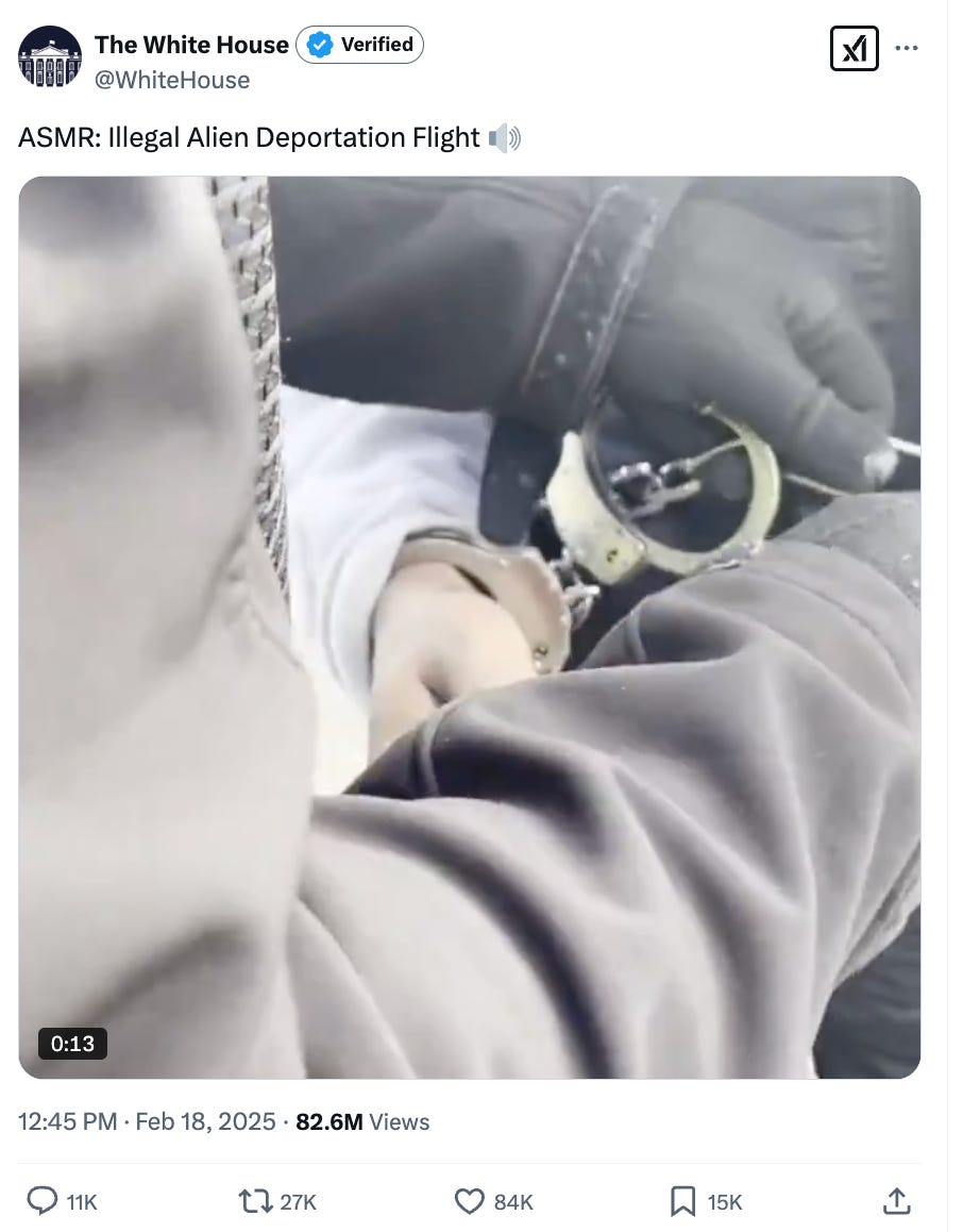 Text: ASMR: Illegal Alien Deportation Flight Image: hands of ICE agent chaining hands of undocumented immigrant. Text: ASMR: Illegal Alien Deportation Flight Image: hands of ICE agent chaining hands of undocumented immigrant.