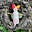 E_III_R's avatar