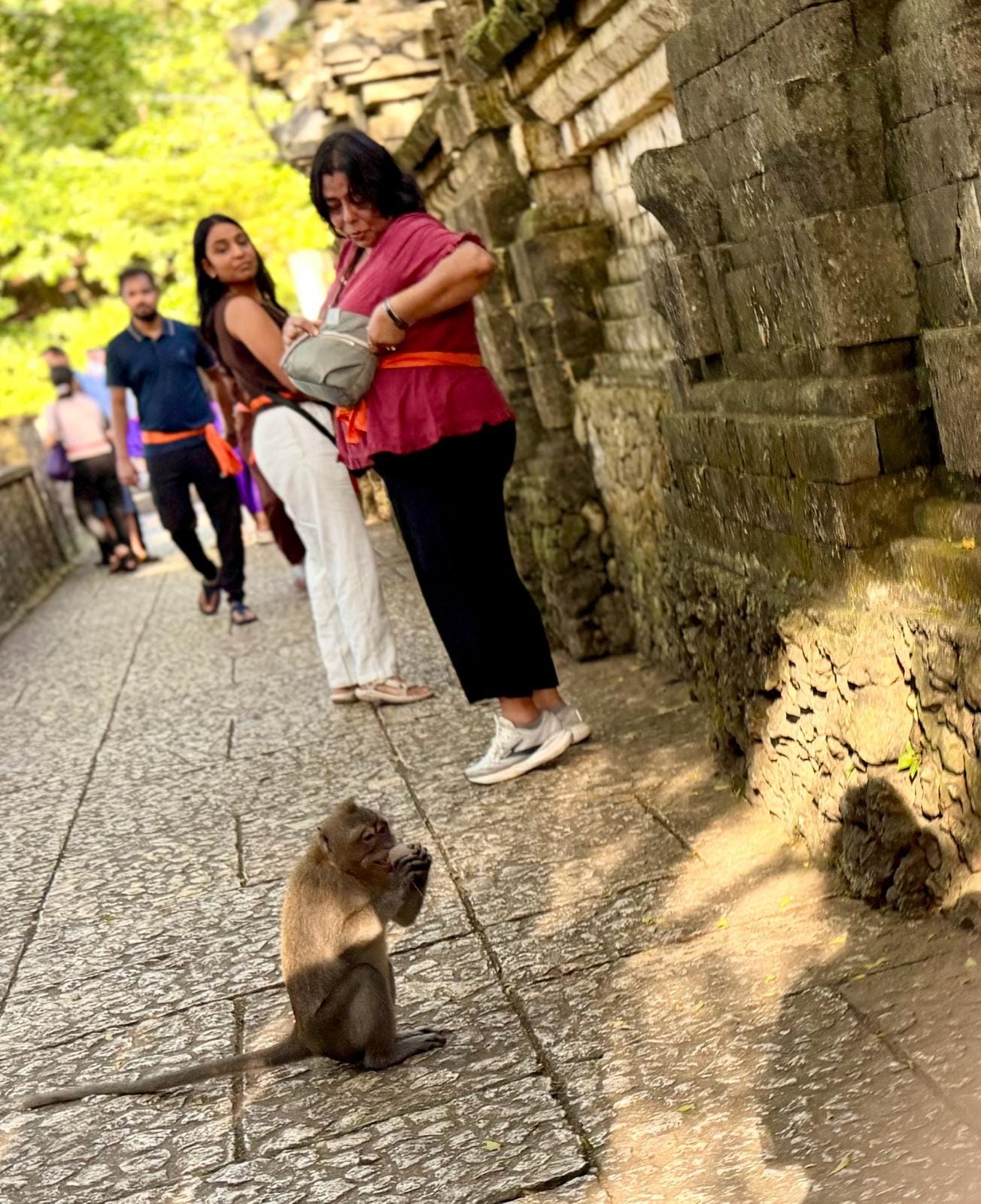 Monkey at Uluwatu Temple in Bali watching tourists closely.