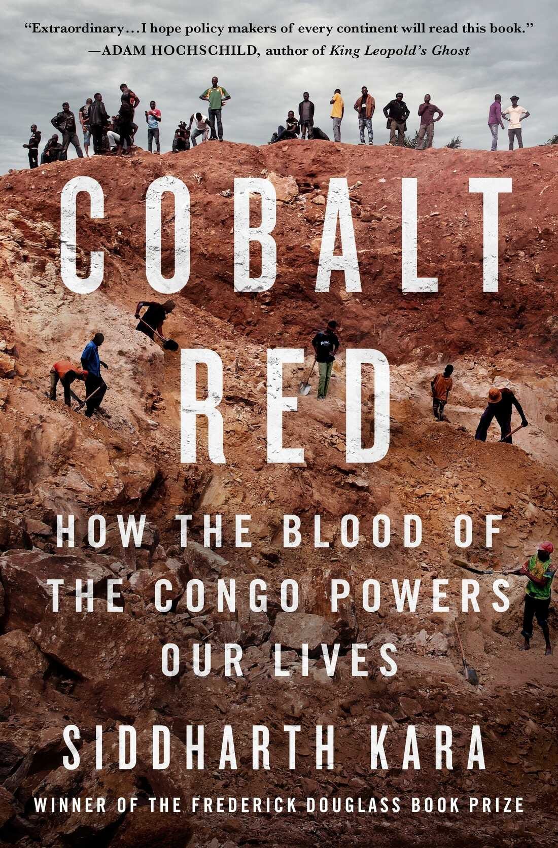 Cobalt Red, by Siddharth Kara