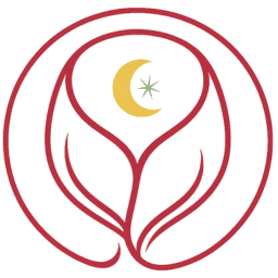 Criar em Ciclo, by Lari Benevides