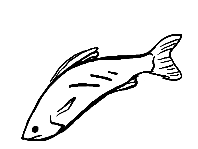 Locally Alien — Harvest summary