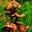 Nerissa's avatar