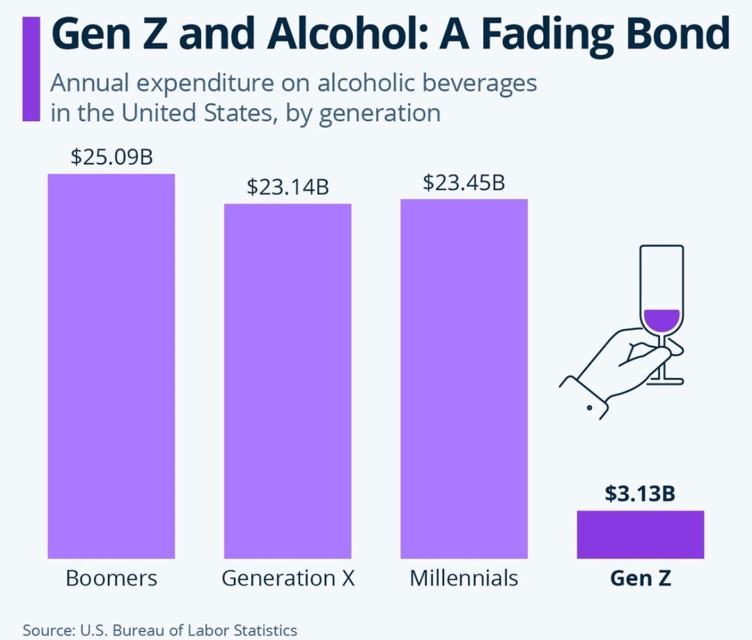 Gen Z is spending much less on alcohol than any other generation, per US  Bureau of Labor Statistics: : r/FluentInFinance
