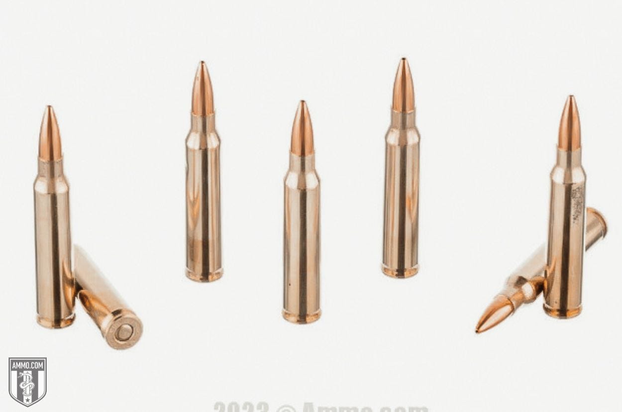 Winchester Ammo