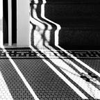 Dispatches From the Basement