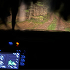 Blind Faith in the Bush Country